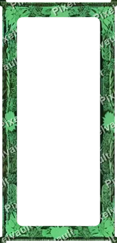 Ornate Dark Metal Frame 248×512