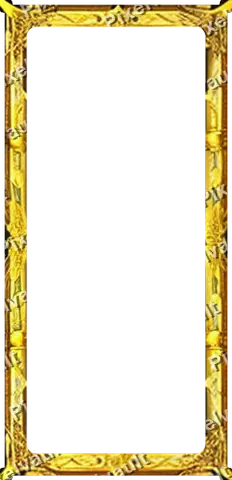 Ornate Dark Metal Frame 248×512