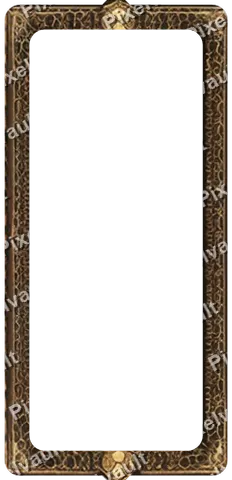 Ornate Dark Metal Frame 248×512