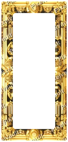 Ornate Dark Metal Frame 248×512