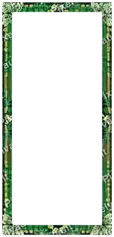 Ornate Dark Metal Frame 248×512