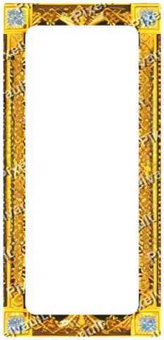 Ornate Dark Metal Frame 248×512