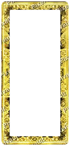 Ornate Dark Metal Frame 248×512