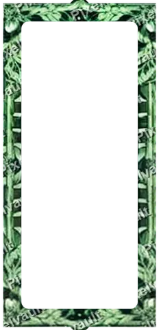 Ornate Dark Metal Frame 248×512