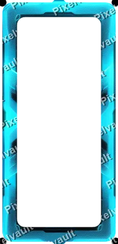 Ornate Dark Metal Frame 248×512