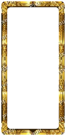 Ornate Dark Metal Frame 248×512