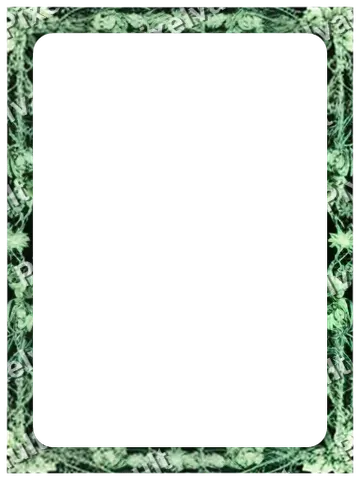 Ornate Dark Metal Frame 384×512