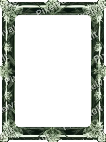 Ornate Dark Metal Frame 384×512