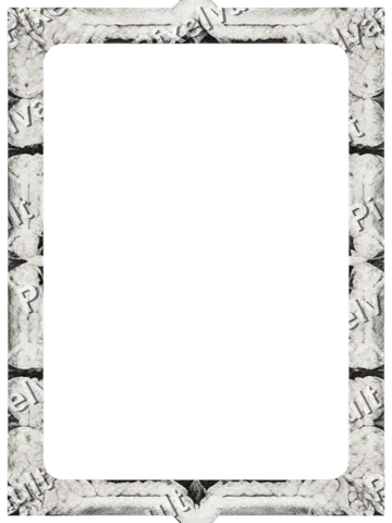 Ornate Dark Metal Frame 384×512