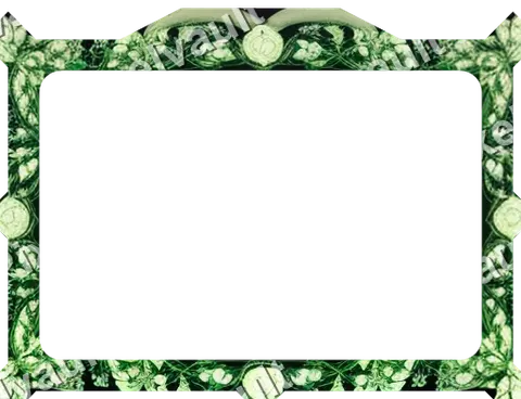 Ornate Dark Metal Frame 512×392