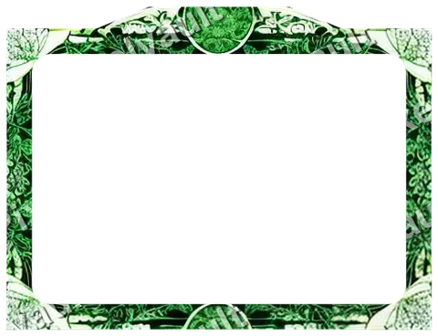 Ornate Dark Metal Frame 512×392